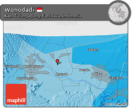 Political 3D Map of Wonodadi