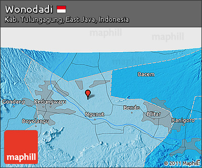 Political 3D Map of Wonodadi