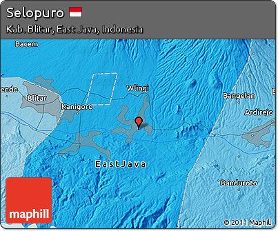 Political 3D Map of Selopuro