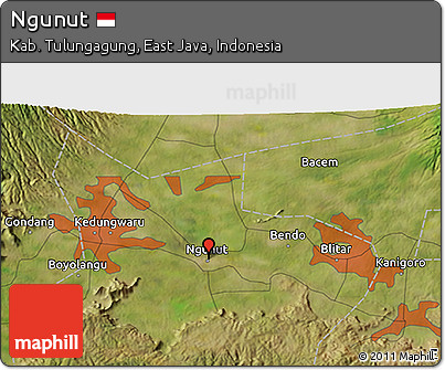 Satellite 3D Map of Ngunut