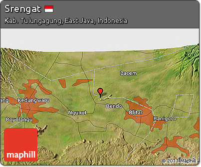 Satellite 3D Map of Srengat