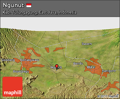 Satellite 3D Map of Ngunut