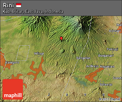 Satellite Map of Rini