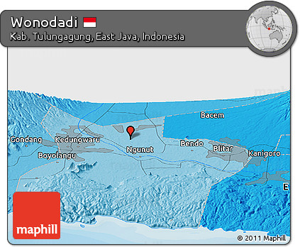 Political Panoramic Map of Wonodadi