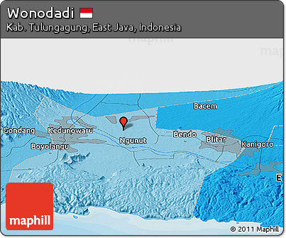 Political Panoramic Map of Wonodadi