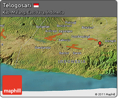 Satellite Panoramic Map of Telogosari