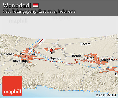 Shaded Relief Panoramic Map of Wonodadi