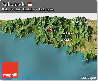Satellite 3D Map of Sukomade
