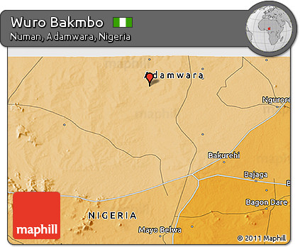 Political 3D Map of Wuro Bakmbo