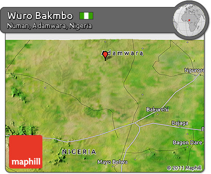 Satellite 3D Map of Wuro Bakmbo