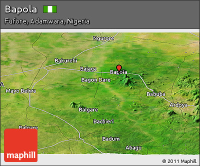 Satellite Panoramic Map of Bapola