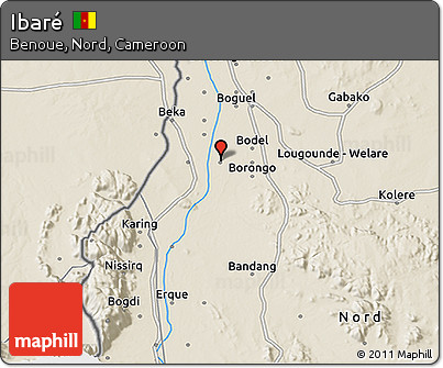 Shaded Relief 3D Map of Ibaré