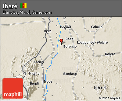 Shaded Relief 3D Map of Ibaré
