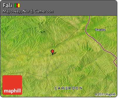 Satellite 3D Map of Fali