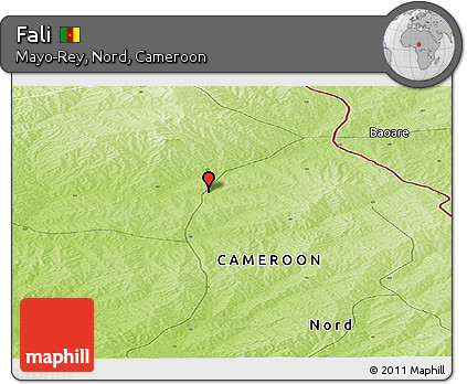 Physical Panoramic Map of Fali