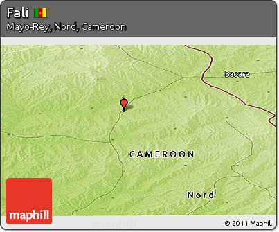 Physical Panoramic Map of Fali