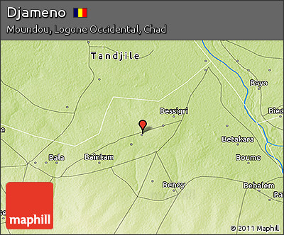 Physical 3D Map of Djameno
