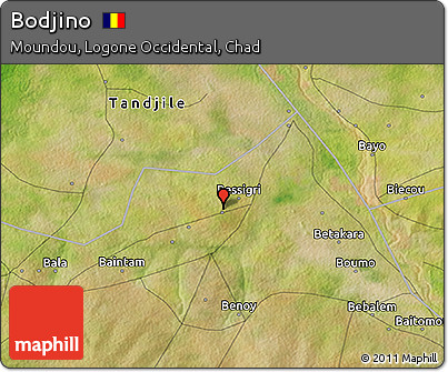 Satellite 3D Map of Bodjino