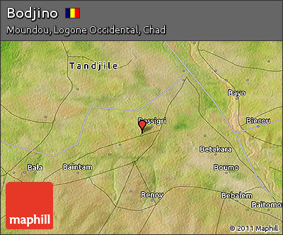 Satellite 3D Map of Bodjino