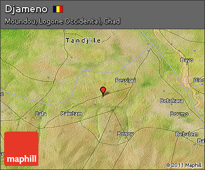 Satellite 3D Map of Djameno