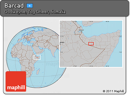 Gray Location Map of Barcad