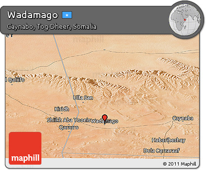 Satellite Panoramic Map of Wadamago