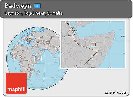 Gray Location Map of Badweyn