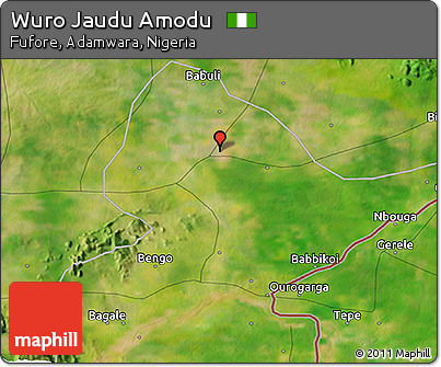 Satellite 3D Map of Wuro Jaudu Amodu