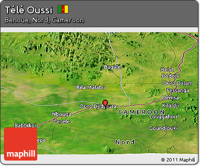 Satellite Panoramic Map of Télé Oussi
