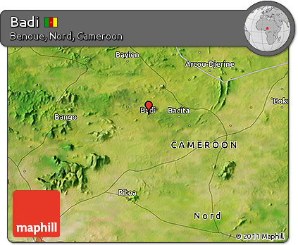 Satellite 3D Map of Badi