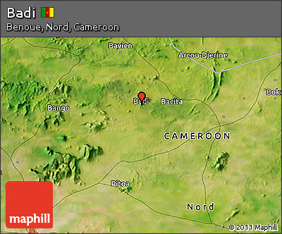 Satellite 3D Map of Badi