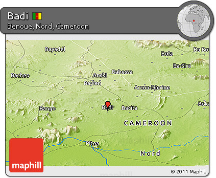 Physical Panoramic Map of Badi