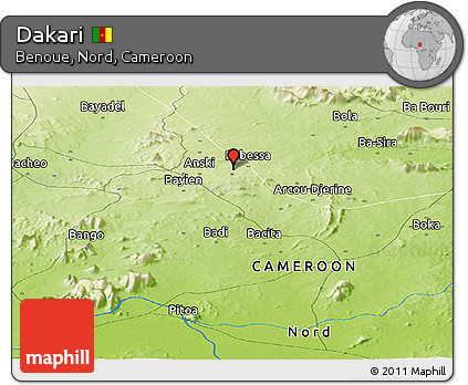 Physical Panoramic Map of Dakari