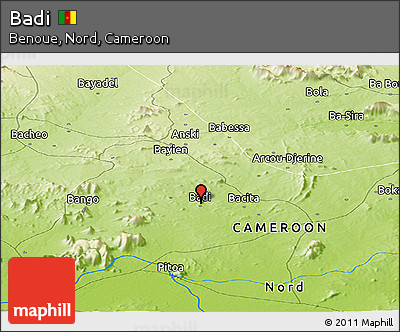Physical Panoramic Map of Badi