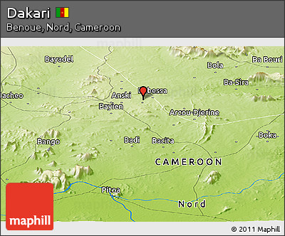 Physical Panoramic Map of Dakari