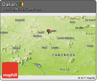Physical Panoramic Map of Dakari