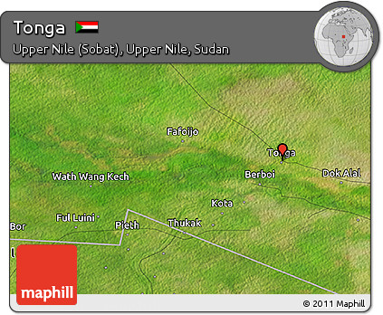 Satellite 3D Map of Tonga
