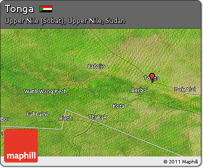 Satellite 3D Map of Tonga