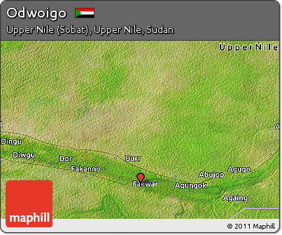 Satellite 3D Map of Odwoigo