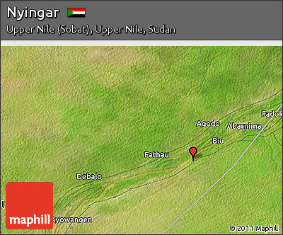 Satellite 3D Map of Nyingar