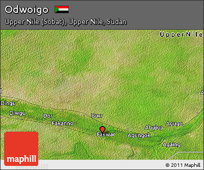 Satellite 3D Map of Odwoigo