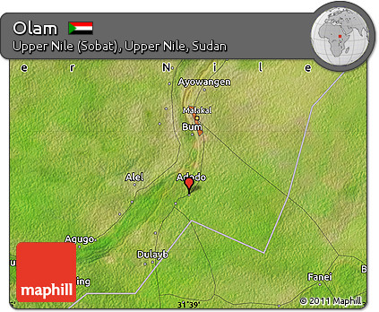 Satellite Map of Olam