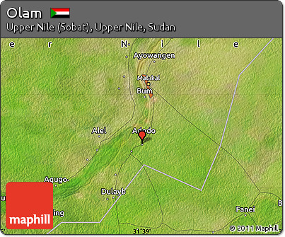 Satellite Map of Olam