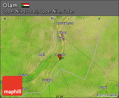 Satellite Map of Olam