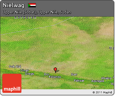 Satellite Panoramic Map of Nielwag