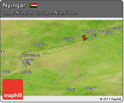 Satellite Panoramic Map of Nyingar