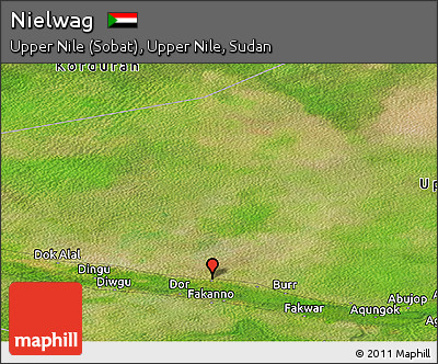 Satellite Panoramic Map of Nielwag
