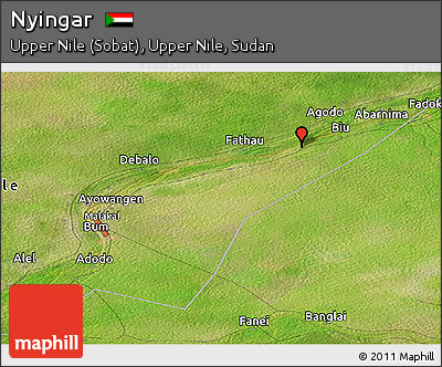 Satellite Panoramic Map of Nyingar