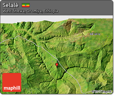 Satellite 3D Map of Selalē