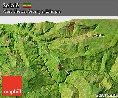 Satellite 3D Map of Selalē